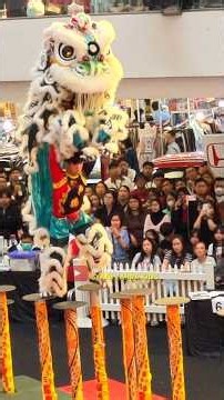 Acrobatic lion dance international competition 2026
