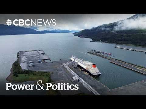 'Canada has a lot to offer': German ambassador on landmark LNG deal, future deals | Power & Politics