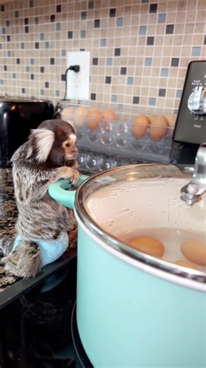 Delicious Egg Salad Recipe to Try Today