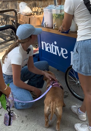 more from the native pet pop up event today in LA at runyon canyon 🤍🦮 #cashewtok #dogsoftiktok #foryoupage #cutenessoverload #popup @Native Pet