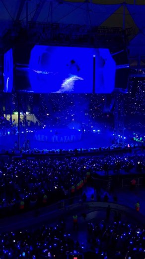 BTS Concert Day 2 Argentina highlights