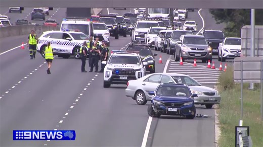 Families have described cowering in their cars when a wild machete brawl erupted on the Monash Freeway. But the state government is adamant a majority of Victorians feel safe, and reforms to reduce knife crime are working. #9News | 9 News