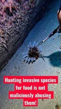 Nothing makes me feel worse than trying to help the environment and being told that i’m abusing fish