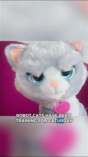Robocats aren't just cute, they're automation engineering doing the MOST. #shorts #cats #robot