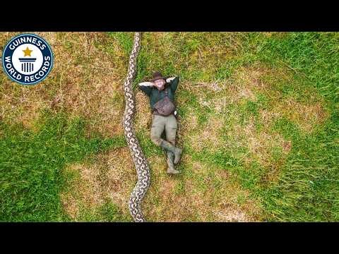 Best Records Set This Week (LONGEST SNAKE!) | Guinness World Records