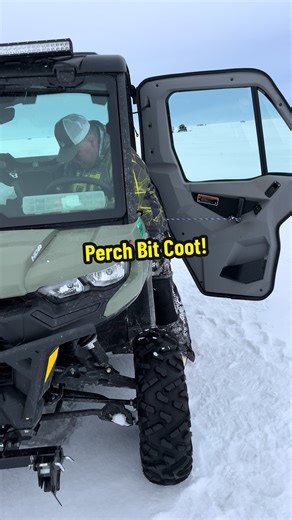 Perch Bit Coot🧊🦆🎣👀 #icefishing | ice fishing