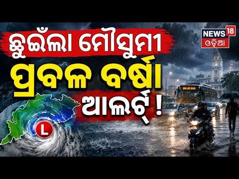 ଛୁଇଁଲା ମୌସୁମୀ | ପ୍ରବଳ ବର୍ଷା ଆଲର୍ଟ୍‌ ! Weather Update News |Rain Alert |Monsoon News Today |Odia News