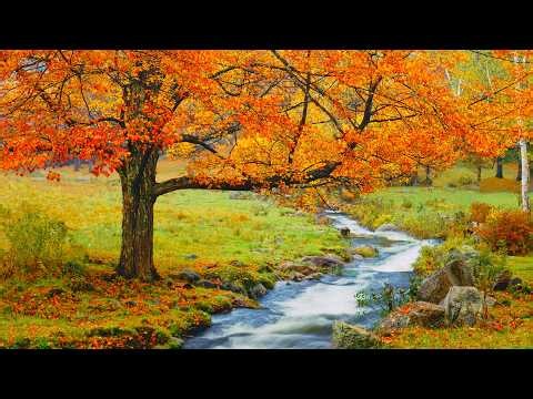 As with Gladness Men of Old (Instrumental) Traditional Beautiful Peaceful Hymn arranged by Tim Janis