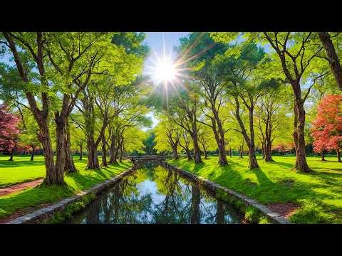 Beautiful Calming Music 🌿 Relaxing Music for Anxiety Relief & Deep Sleep #8