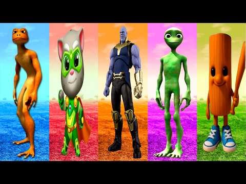 Dame Tu Cosita FULL HD | All Variation Dame Tu Cosita Music Video 2025