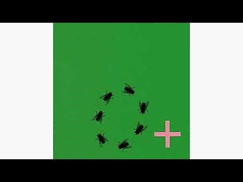 Thanasis Chondros & Alexandra Katsiani - 0+ (Zero Positive) [full album 1999]