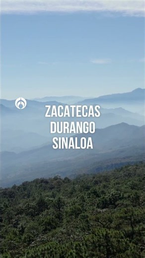 🚨¡Alerta en México! Así recluta el CJNG a niños por TikTok