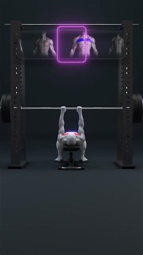 🔥💪 Smith Machine Bench Press Variations for Triceps, Chest & Upper Chest #shorts