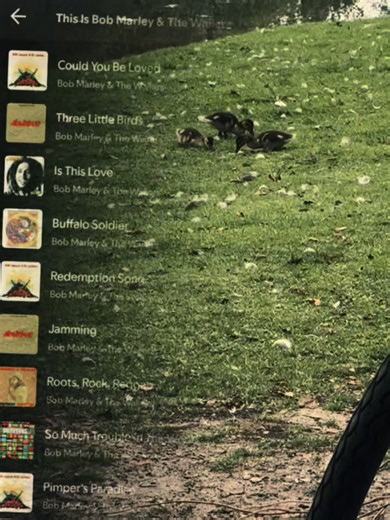 Bob Marley - One Love: The Ultimate Reggae Vibes Experience