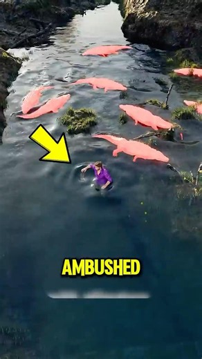 What If You're Surrounded by Alligators? 😨🐊