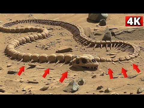 NASA Mars Rover Send 4K 360° Footage of Mars SOL 1537! Perseverance Stunning 4K Visuals