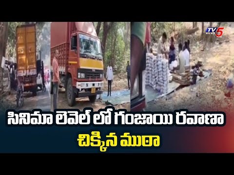 Ganja Racket Busted At Ashwaraopeta | Bhadradri Kothagudem District || TV5 News