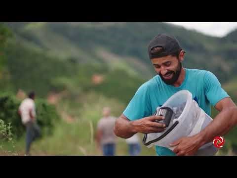 Veja os detalhes da produção do Biochar que revolucionou o campo
