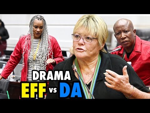 🔥MUST WATCH: EFF vs DA Clash in The Ad Hoc Committee Over Malema vs AfriForum Case 