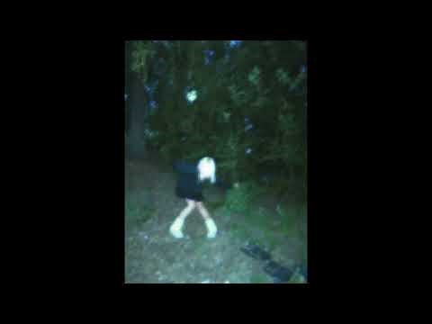 [free] 2hollis x nate sib x SEBii hyperpop type beat "supergiant"