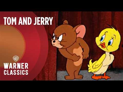 Tom and Jerry | Quackers and Bird Friends Mega Compilation | Vol. 40 | Warner Classics