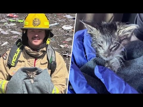 Firefighters Rescue Kitten Stuck Inside Debris of Landfill Fire