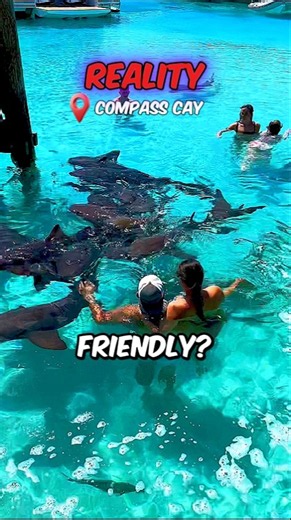 These Crazy Places Actually Exist! 🤯🌍 #travelling #travel #explore #trip #vacation #adventure
