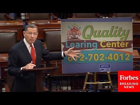'They Can't Even Spell Learning Right': John Barrasso Explodes At Dems Over MN Daycare Fraud Scandal