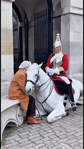 Respect for the King's Guard