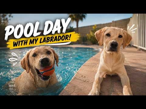 Pool Day With My Labrador Puppy!