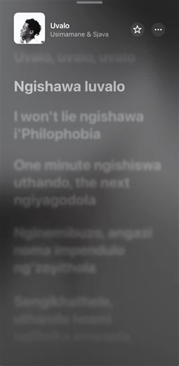 Sjava & Usimamane: An Engaging Musical Collaboration