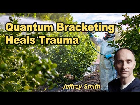 How Quantum Bracketing Heals Trauma in Minutes with Jeffrey M. Smith