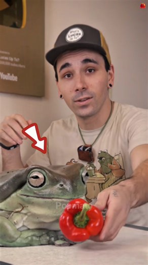 Most Satisfying Video! #shortsvideo