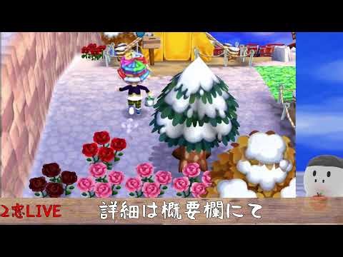 [2窓 pt2] とび森 村環境見直し作業 24_HOUR_LIVE [2025.1.4]