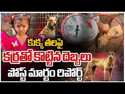 LIVE: Kakinada Jahnavi Missing Case Latest Updates | కుక్క తలపై కర్రతో కొట్టిన దెబ్బలు| ZEE News