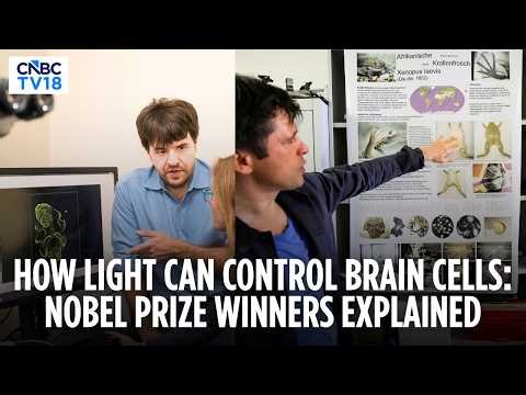 2026 Nobel Medicine Prize: Deisseroth, Hegemann & Nagel Honoured For Optogenetics | N18G