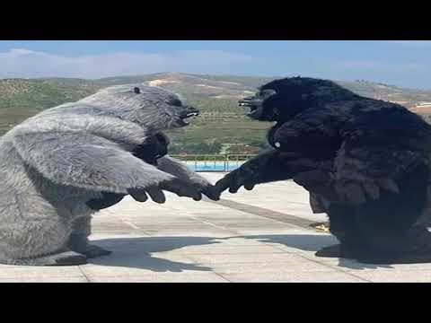 Christmas Real Life Inflatable Gorilla Costume Full Mascot Suit Giant Adult Fur Gorilla Cosplay