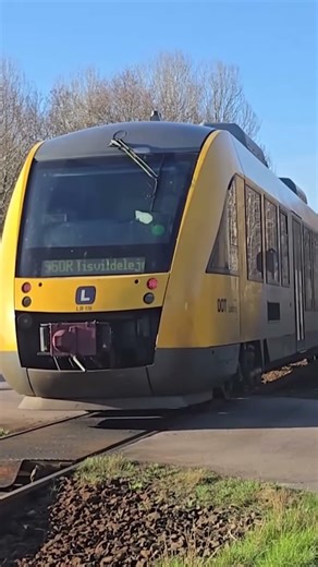 Several reported injured in Danish train crash