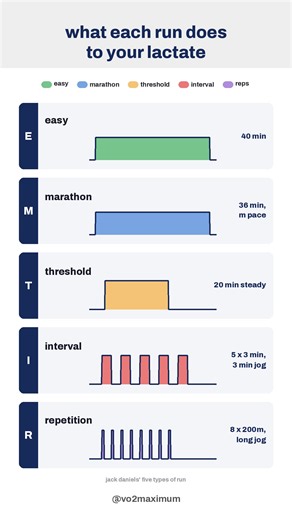 Lactate Levels by Run Type: Easy, Threshold, & Intervals Explained