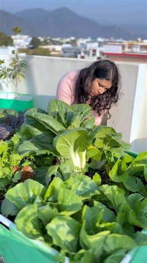 Good soil = healthier plants 🌱😇 Here’s how I make my soil mix #soil #garden #organic