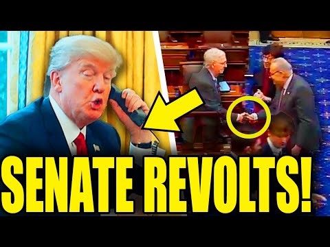 FINALLY! Senate ENDS Trump … SCREAMING Call CAN’T STOP VOTE!