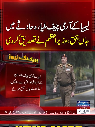 Libya's Army Chief Dies in Plane Crash: PM Confirms