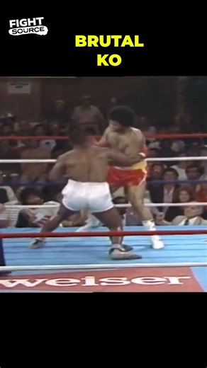 Mike Tyson KNOCKOUT #miketyson #boxing #knockout #ko