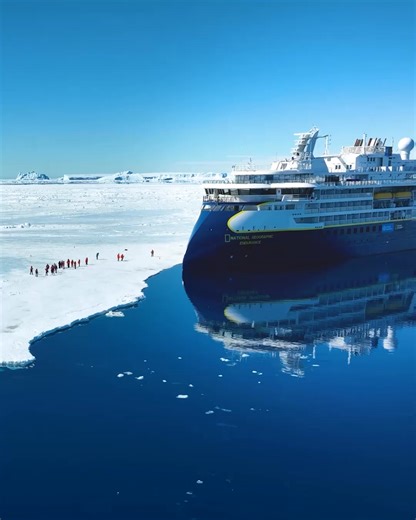 Explore Antarctica. Walk among thousands of penguins. Search for whales. Watch leopard seals relax on the ice. | Lindblad Expeditions