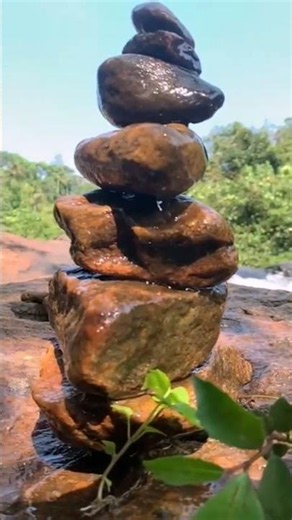 Nature travel . #cinematic #srilanka #trending #butterfly #viral #nature #naturelovers