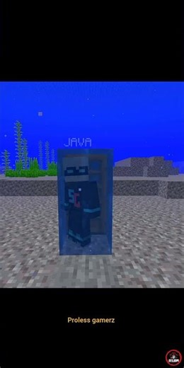 Minecraft Java vs Bedrock Door 🚪🔥 | Shocking Difference You Didn’t Notice! #minecraft