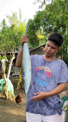 Mango Float Recipe for a Joyful New Year Celebration