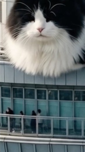 スカイツリーに巨大猫が香箱座りしてたんだがww #巨大猫 #shorts #aivideo