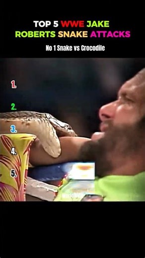 Jake Roberts Snake Attacks Moments 🐍 #wwe #wweshorts