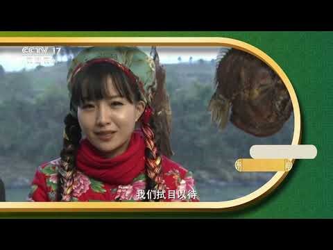 《大地讲堂》 20260316 乡间春味 5 | 农业致富经 Agriculture And Farming